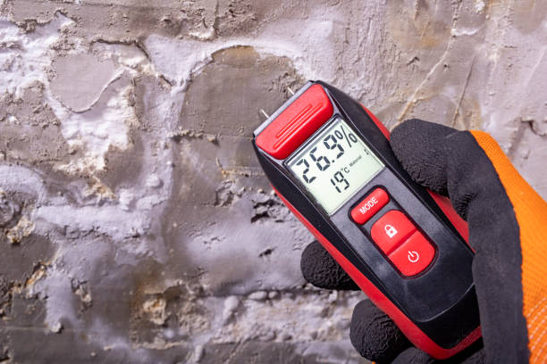 Best Water Damage Restoration  in Woodville, AL