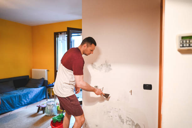 Best Attic Mold Removal  in Woodville, AL